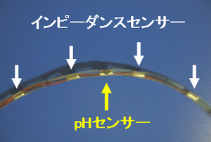 インピーダンス検査センサー